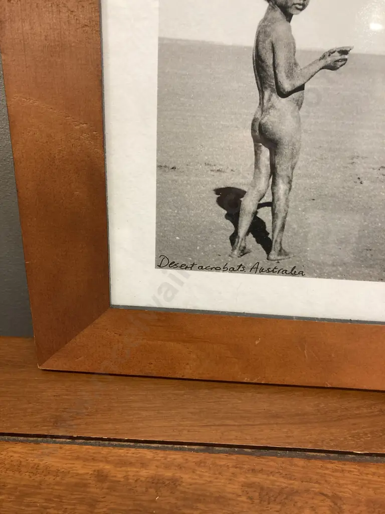 Alistair R McNaughton 'Desert Acrobats. Australia' '91 Framed Photo Print. 31 x 64cm Image 1++